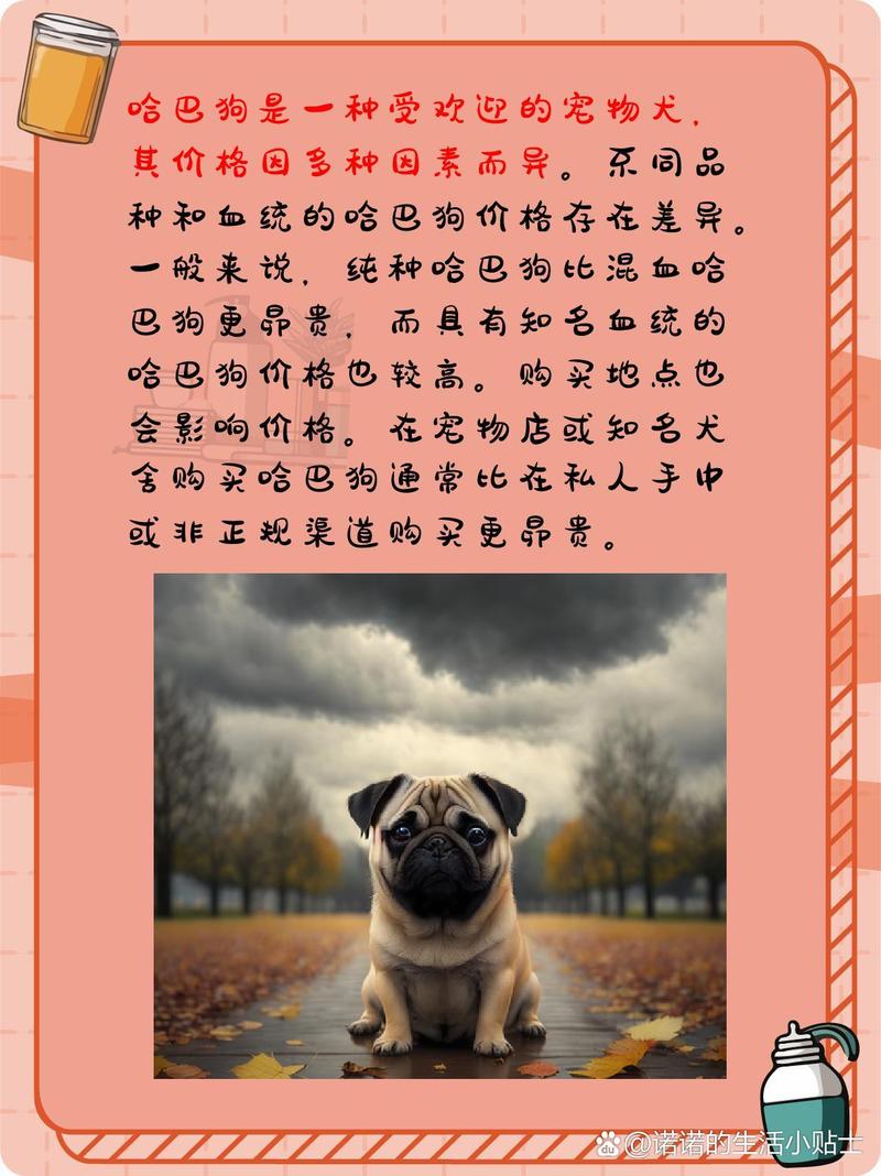 ...还有一个常见的名字,也叫哈巴狗,它到底多少钱一只呢?