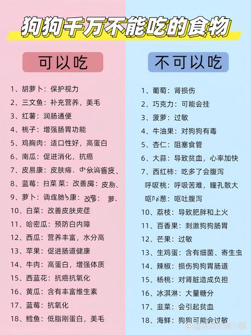 狗狗能吃酸菜吗?为什么?