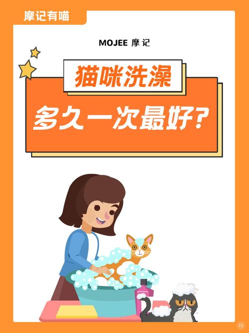 猫猫多久洗一次澡合适？猫猫多久洗一次澡比较好
？