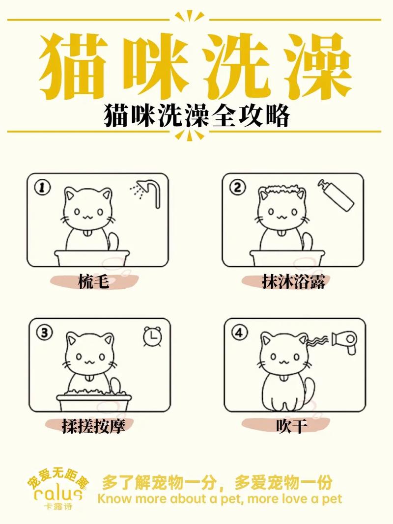 猫咪多久洗一次澡?