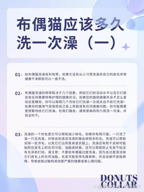 猫猫洗澡多久一次,注意事项有哪些