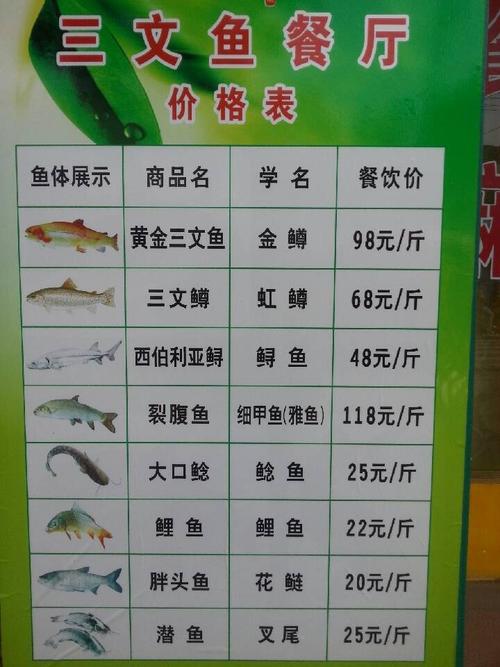 三文鱼多少钱一斤市场价2023