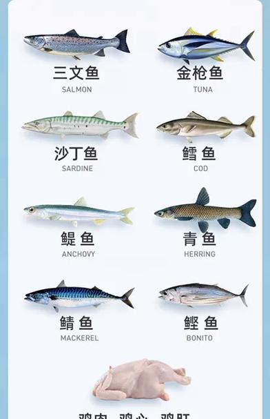马鲛鱼多少钱一斤?马鲛鱼吃了有哪些好处?