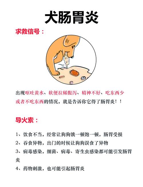 狗狗拉肚子又吐怎么办？狗狗拉肚子吐怎么办精神状态还不错？