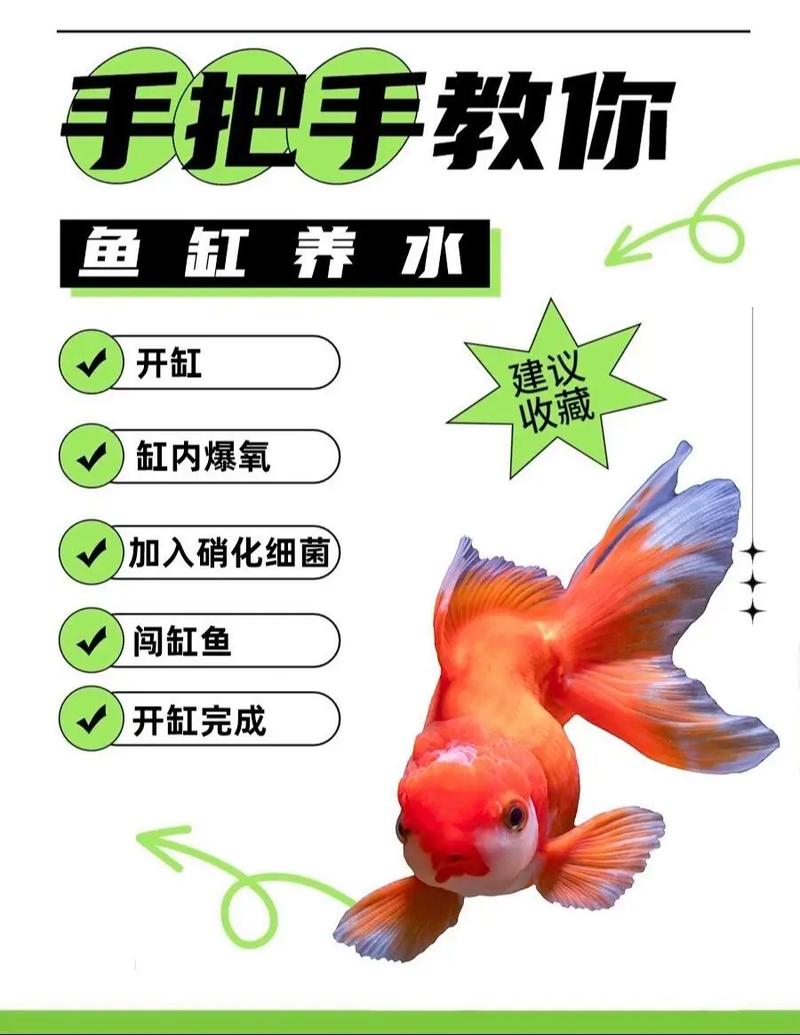 家庭养鱼的方法和技巧