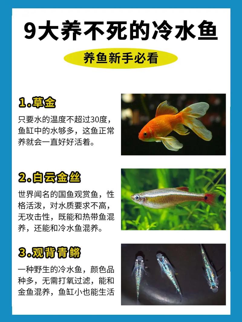 小型冷水鱼有哪些