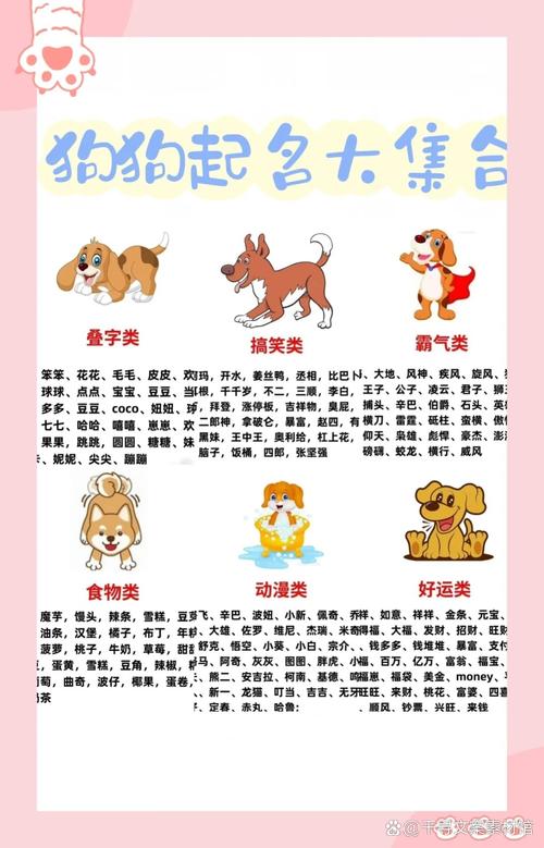 取名100个招财的狗狗名字