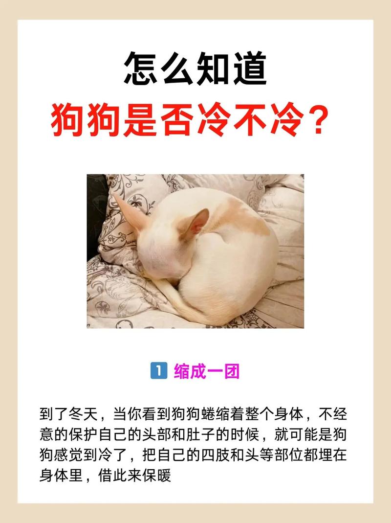 怎么判断狗狗是否冷，怎样知道狗狗冷？
