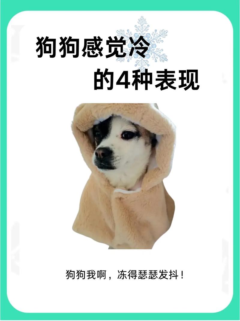 怎么判断狗狗睡觉的时候冷不冷?