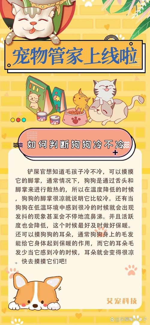 怎样判断狗狗睡觉冷不冷