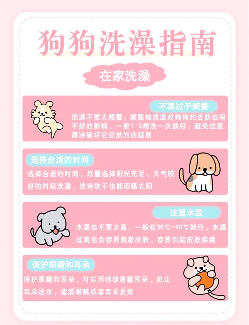 狗狗拉肚子能洗澡