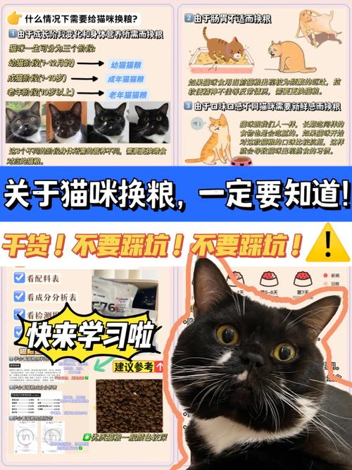 猫咪需要换粮吗？猫咪需要换粮吗怎么喂？