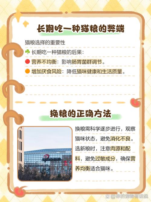 猫咪需要经常换猫粮吗