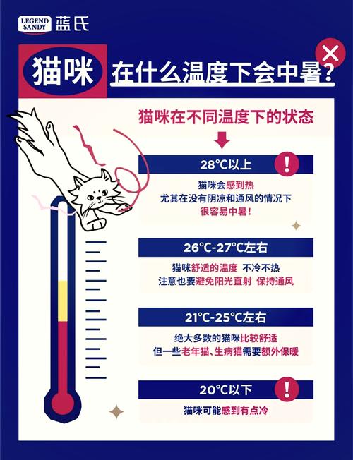 猫咪适合的温度，猫咪适合温度多高？