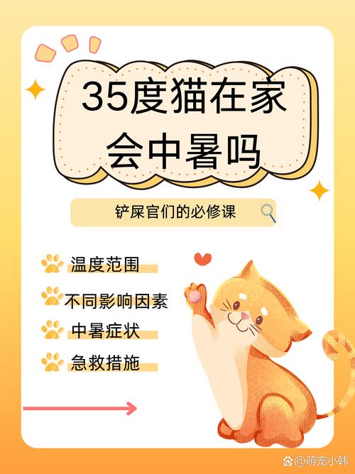 猫咪能耐多少度的低温?