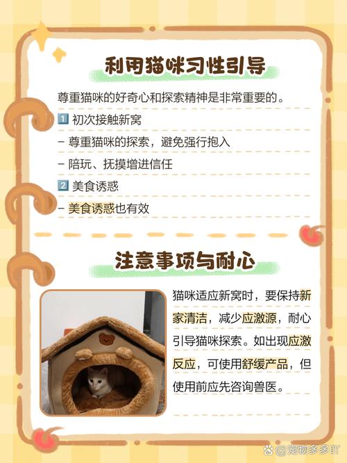 猫咪不进猫窝怎么办，猫咪不进猫窝怎么办视频？