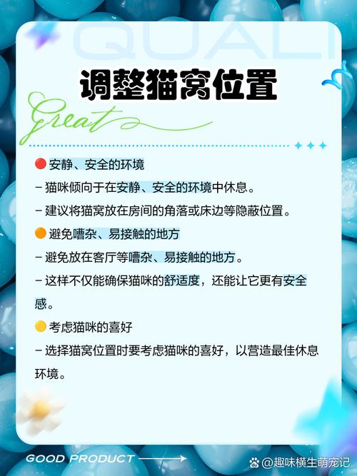 猫咪不在窝里睡怎么办