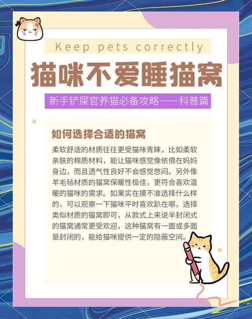猫咪不愿意在猫窝里睡觉是什么原因?该怎么办?