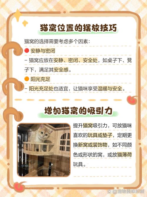 猫咪不进猫笼子怎么办?