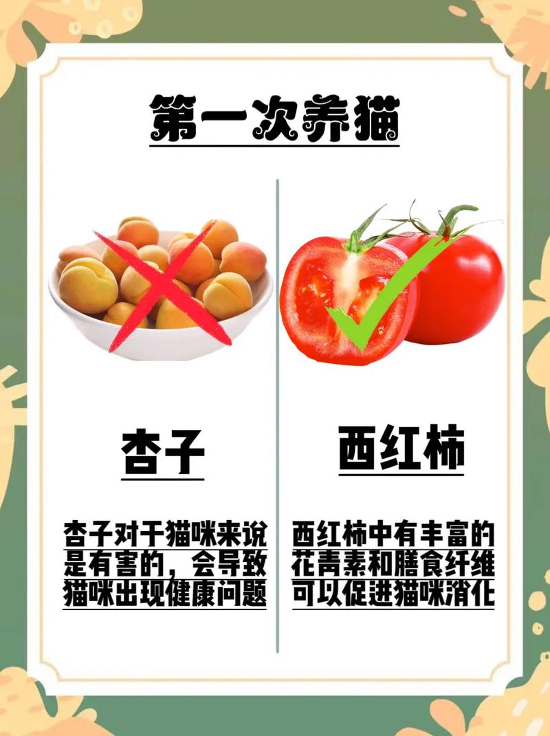 猫咪能吃木瓜吗，猫咪能吃木瓜吗有毒吗
