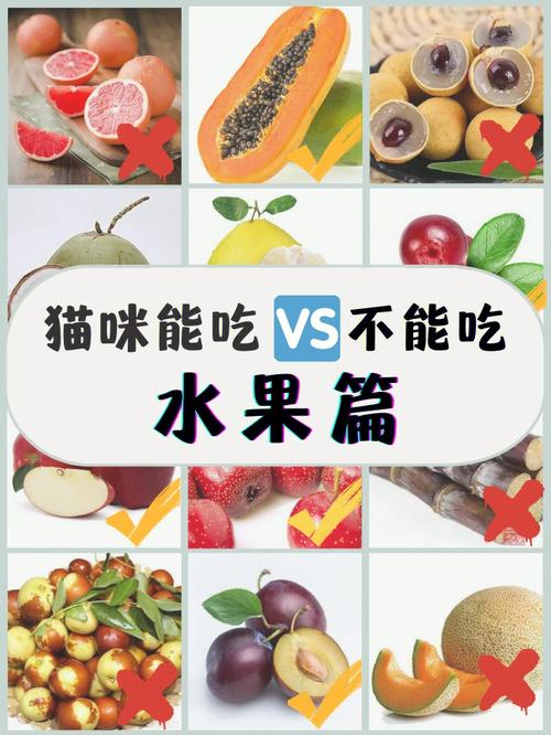 猫可以吃木瓜吗