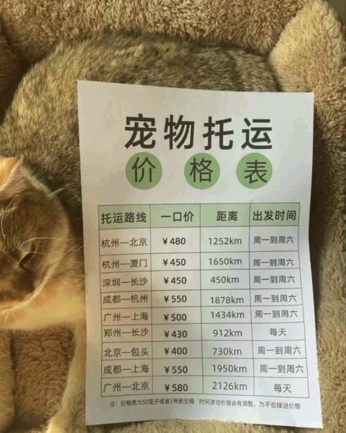 2024年顺丰托运小宠物收费标准