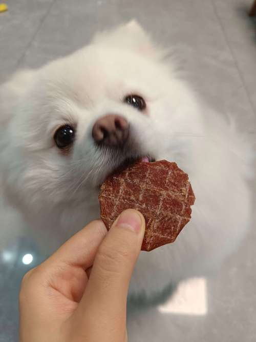 狗狗吃了一点薯片有事吗