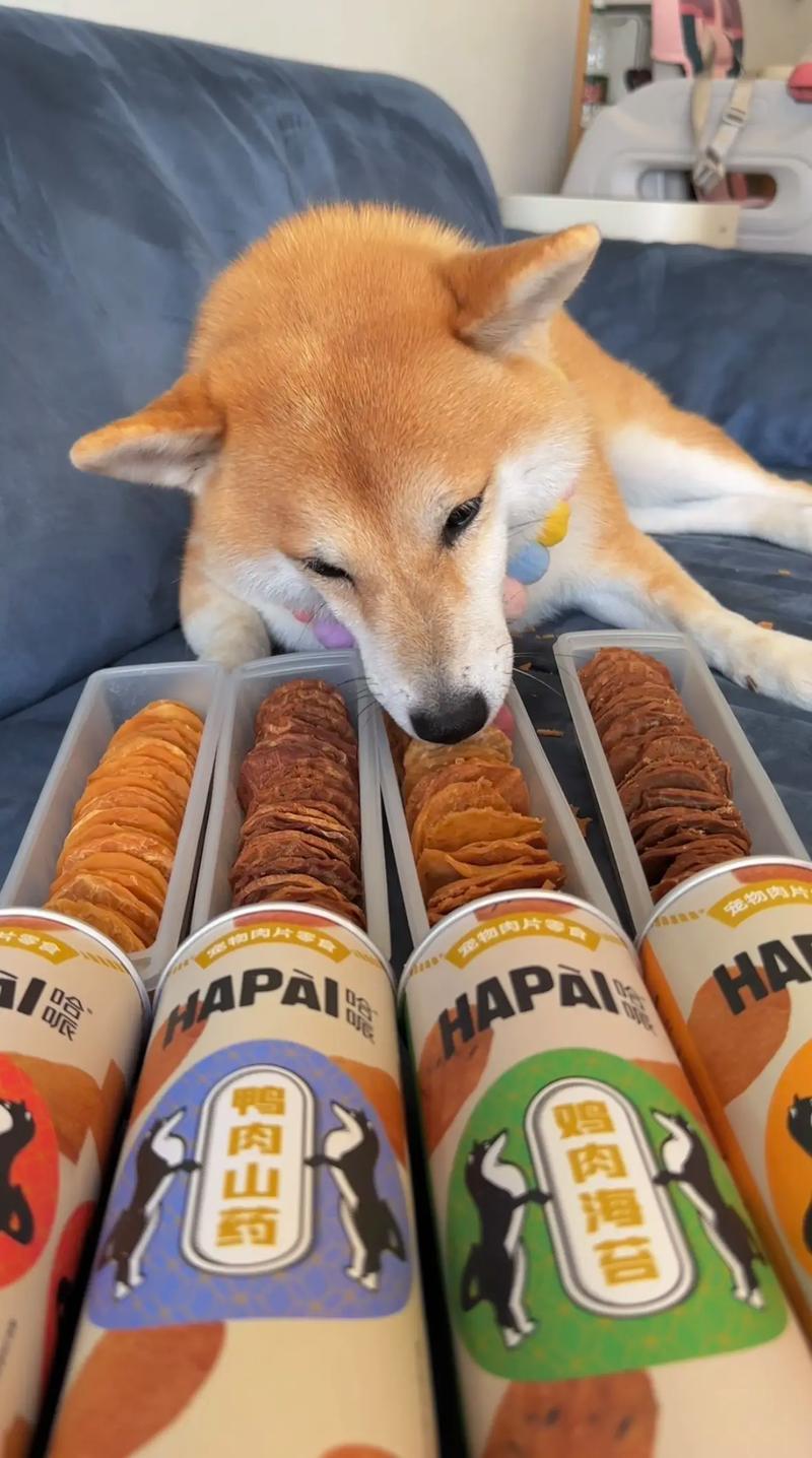 狗狗能吃烧烤味薯片吗