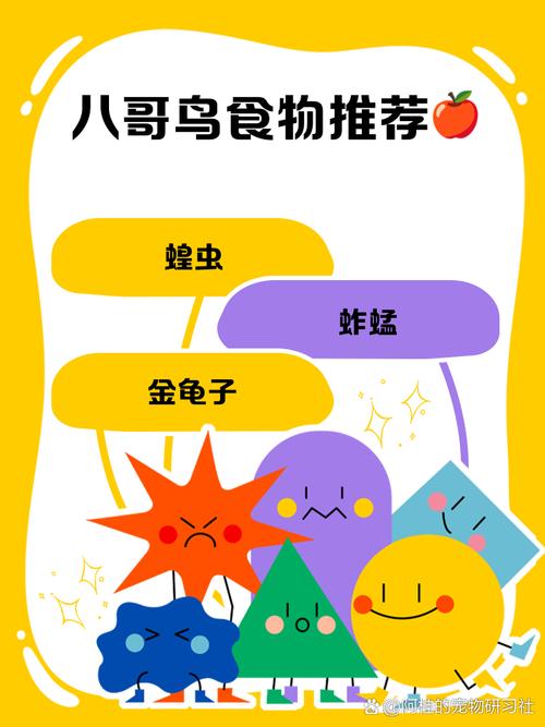 小八哥喜欢吃什么食物?