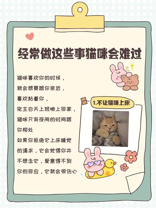 猫咪“伤心时”会有这6个行为,你注意到了吗?