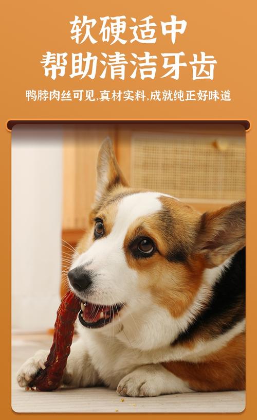 狗狗吃风干鸭脖会划破肠道吗