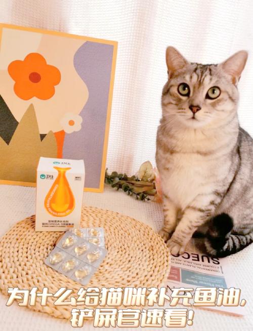 猫咪可以吃鱼肝油吗