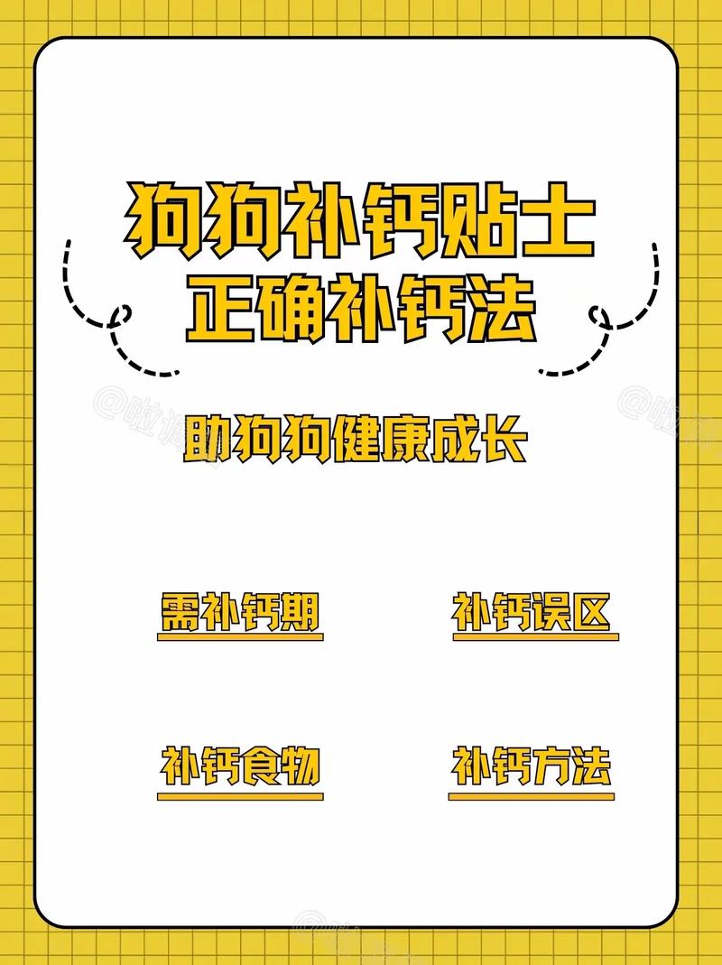 狗狗能吃儿童钙吗