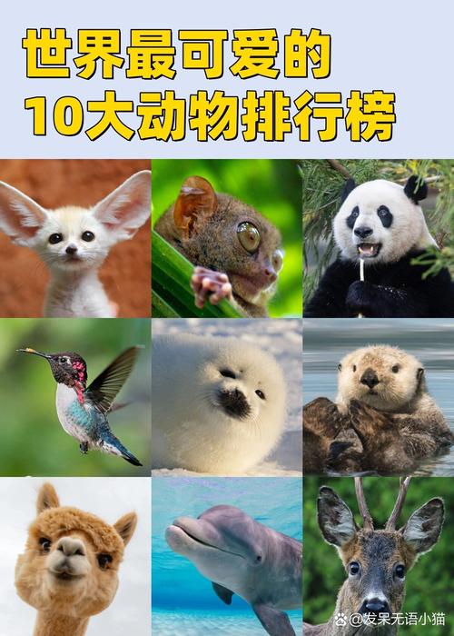 100种小动物的画法