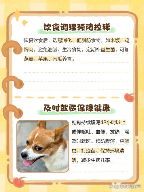 欧亚大陆犬吃多了拉稀怎么办