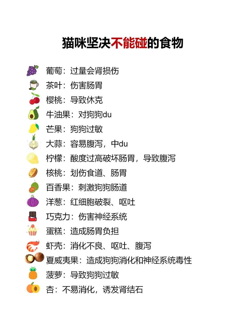 哪些食物不能随意给猫吃