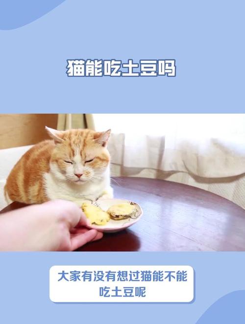 猫能吃土豆泥吗