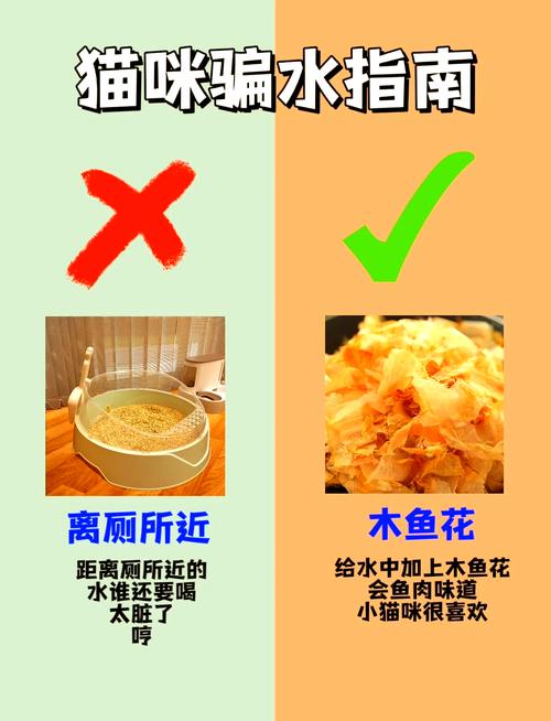 猫猫不喝水怎么办？猫咪不喝水是什么病？