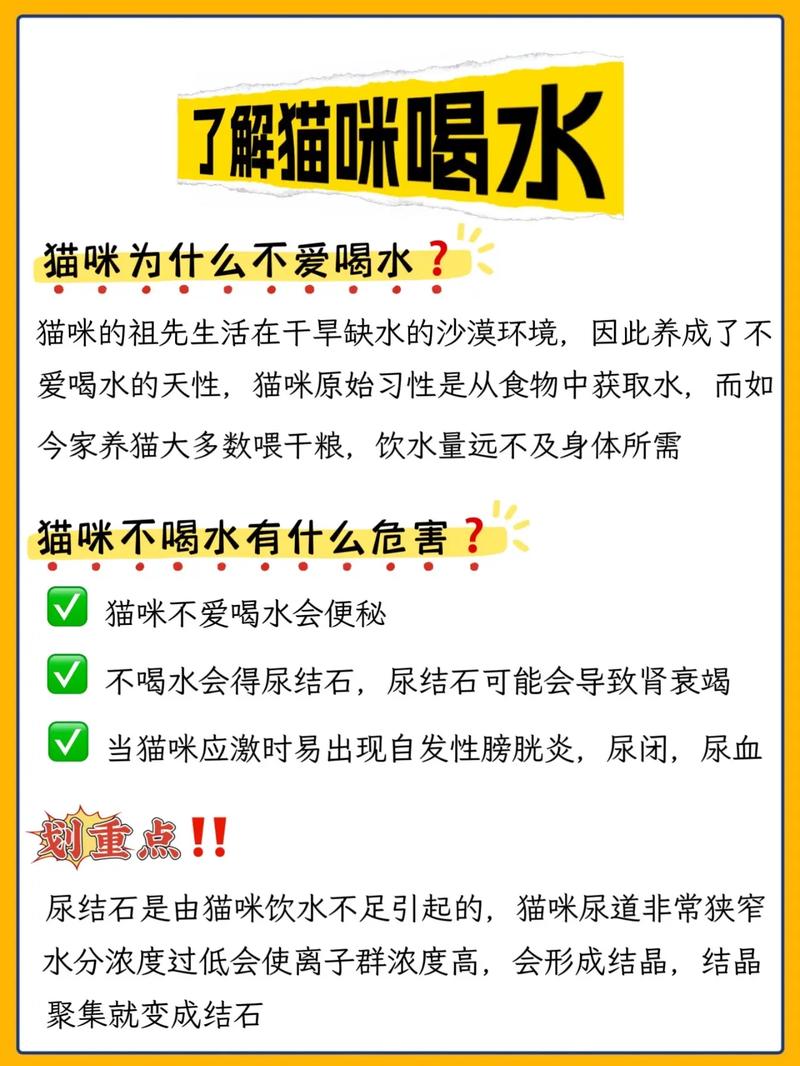 猫不爱喝水怎么办??