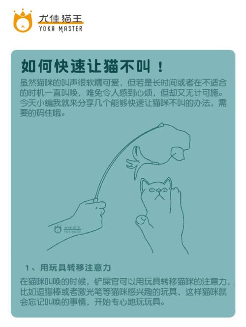 怎样可以让猫咪不叫?