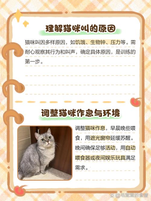 如何让猫咪在半夜不叫