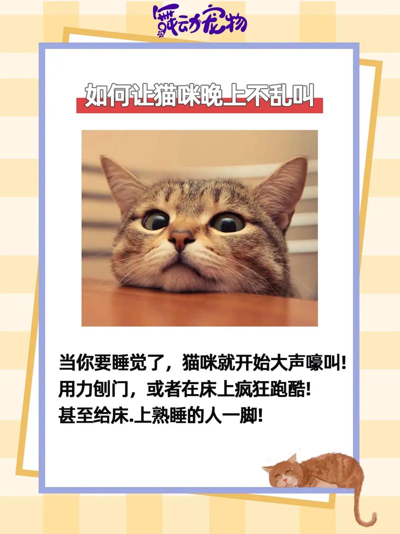 怎么能让猫不叫