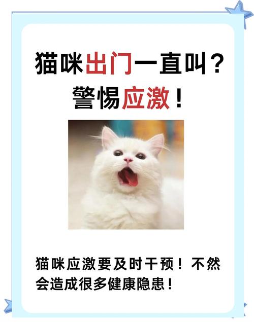 猫老想出去,不让出去就不停叫,怎么办?