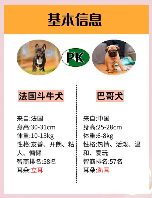 法斗和八哥的区别是什么