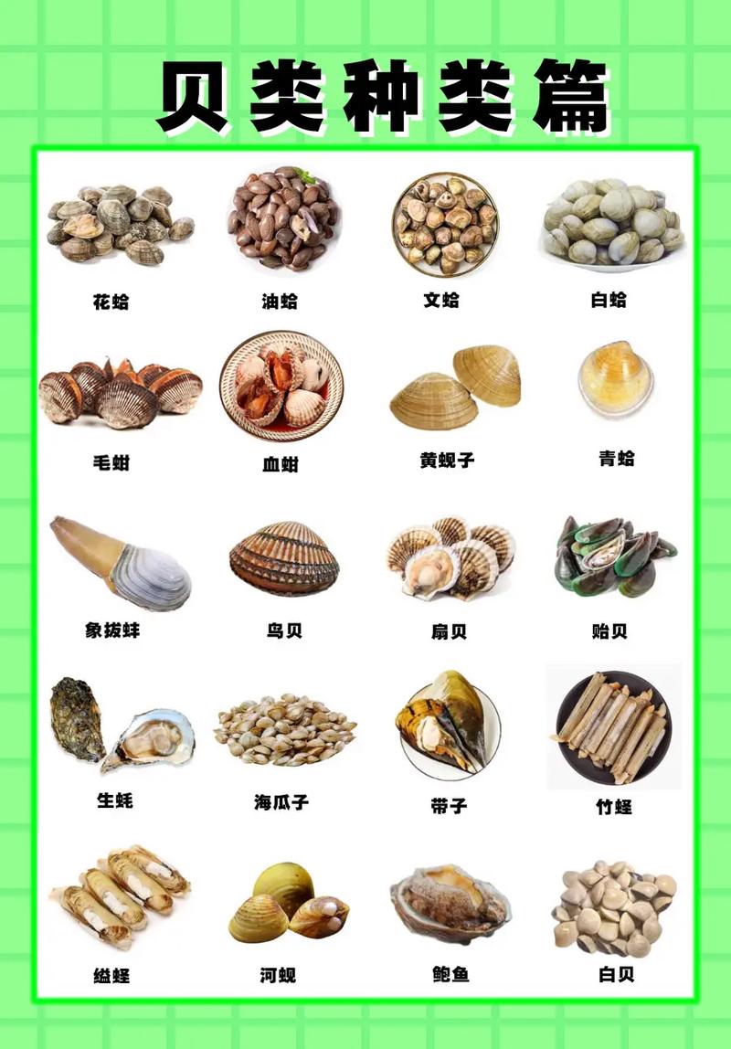 常见的海鲜种类图片及名称有哪些
