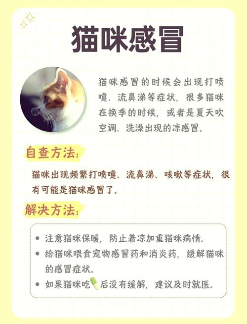 幼猫打喷嚏会自己好吗