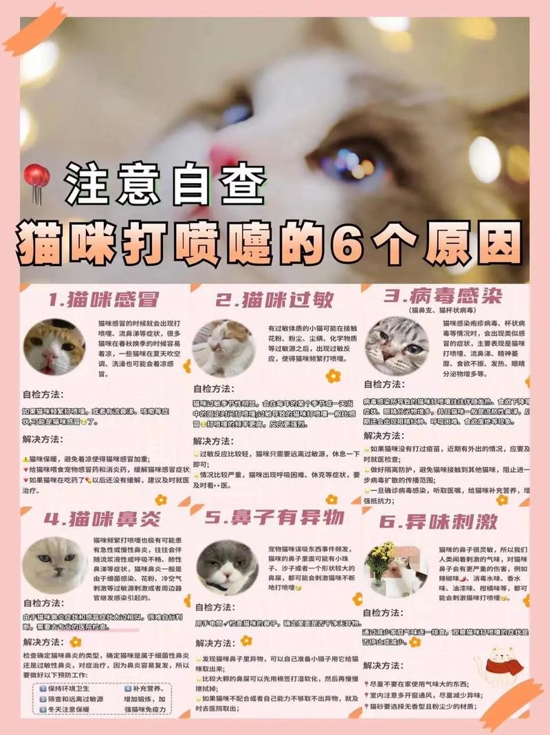 猫咪打喷嚏会自愈吗?
