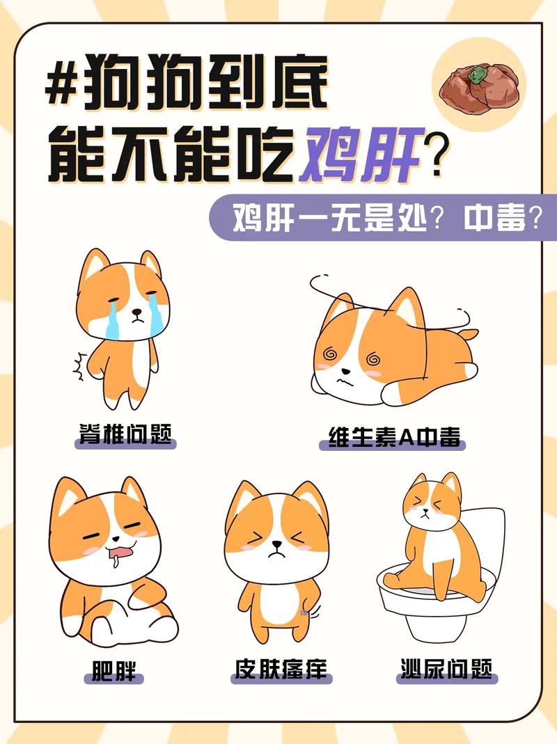 狗狗可以喝鸡汤吗
