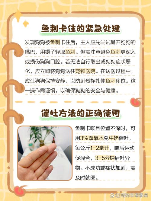 狗狗嗓子卡到鱼刺怎么办
