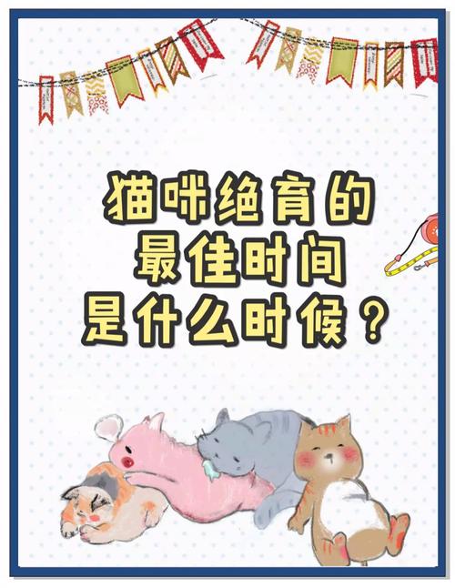 猫啥时候能做绝育